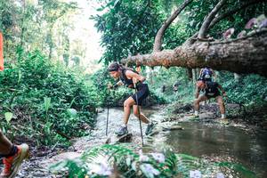 BIB: 
                            <button type="button" onclick="openModal(25434577)" class="btn btn-primary btn-sm float-right btn-popup" data-toggle="modal" data-target=".modal-high-quality">
                        <i class="fas fa-shopping-cart"></i> Add to Cart
                    </button>
                                            <button type="button" onclick="isThisMe(25434577, true)" class="btn btn-success btn-sm float-right btn-popup btn-isme hidden" data-toggle="tooltip" data-placement="bottom" title="นี่คือรูปของคุณใช่ไหม คลิกที่นี่เพื่อเอาเข้าอัลบั้ม">
                        <i class="fas fa-plus"></i> Add to album
                    </button>
                    <button type="button" onclick="isThisMe(25434577, false)" class="btn btn-warning btn-sm float-right btn-popup btn-isnotme hidden">
                        <i class="fas fa-ban"></i> Remove from album
                    </button>